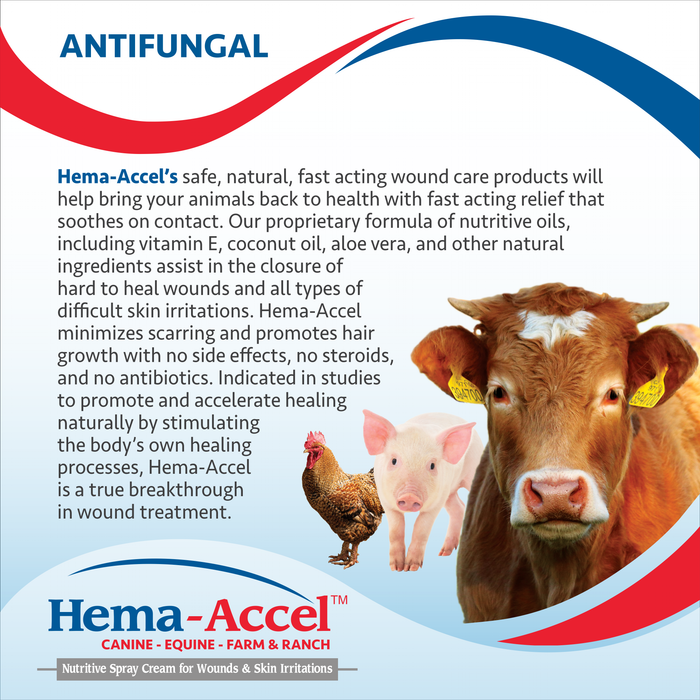 Hema-Accel Canine All Natural Wound Care Spray, 4 oz