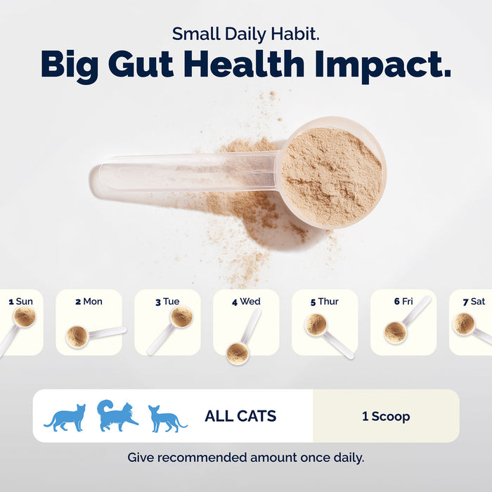 Glandex Daily Prebiotic & Probiotic Powder for Cats, Tuna Flavor, 4.0 oz