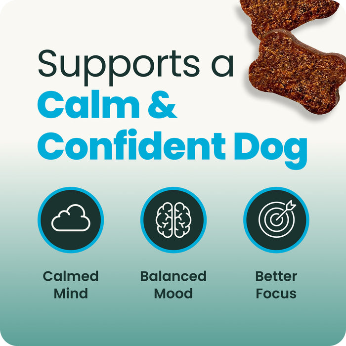 VetriScience Composure Long Lasting Calm & Confident Clinically Tested Chicken Flavored Chews with Ashwagandha, Calming & Anxiety Supplement for Dogs, 90 count Flavor Chicken