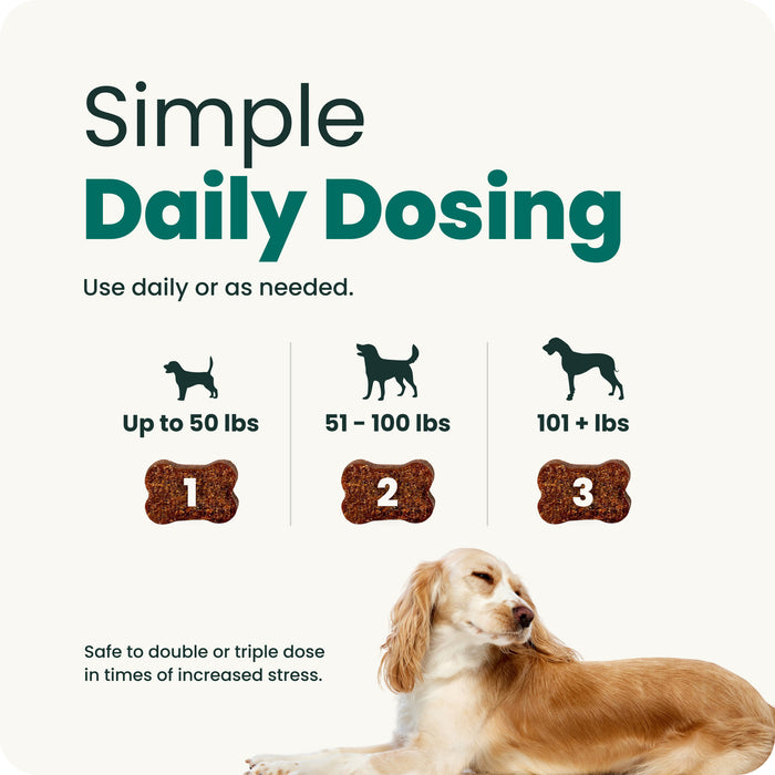 VetriScience Composure Long Lasting Calm & Confident Clinically Tested Chicken Flavored Chews with Ashwagandha, Calming & Anxiety Supplement for Dogs, 90 count Flavor Chicken