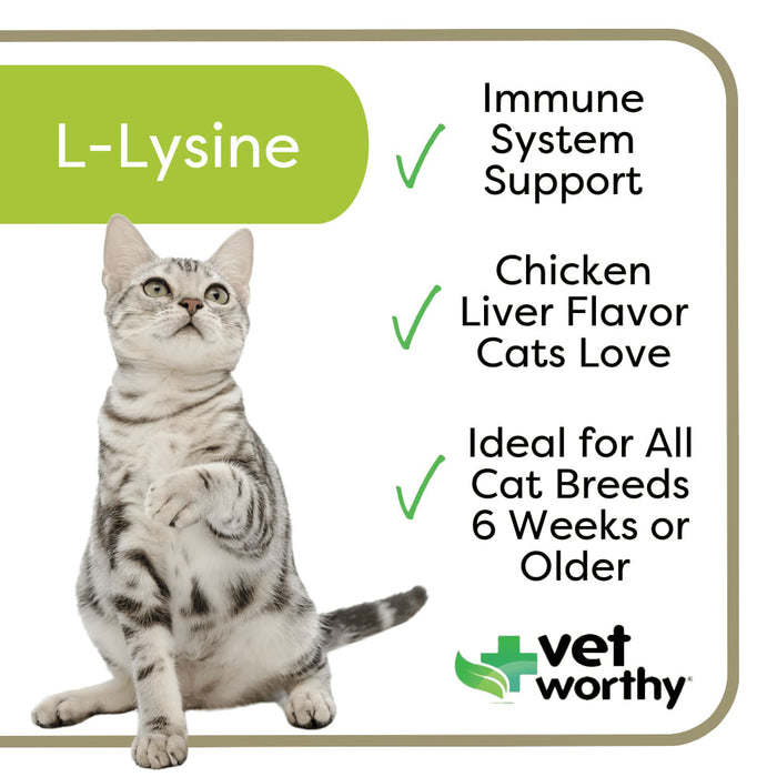 Vet Worthy L-Lysine Soft Chew for Cats, 60 ct -   