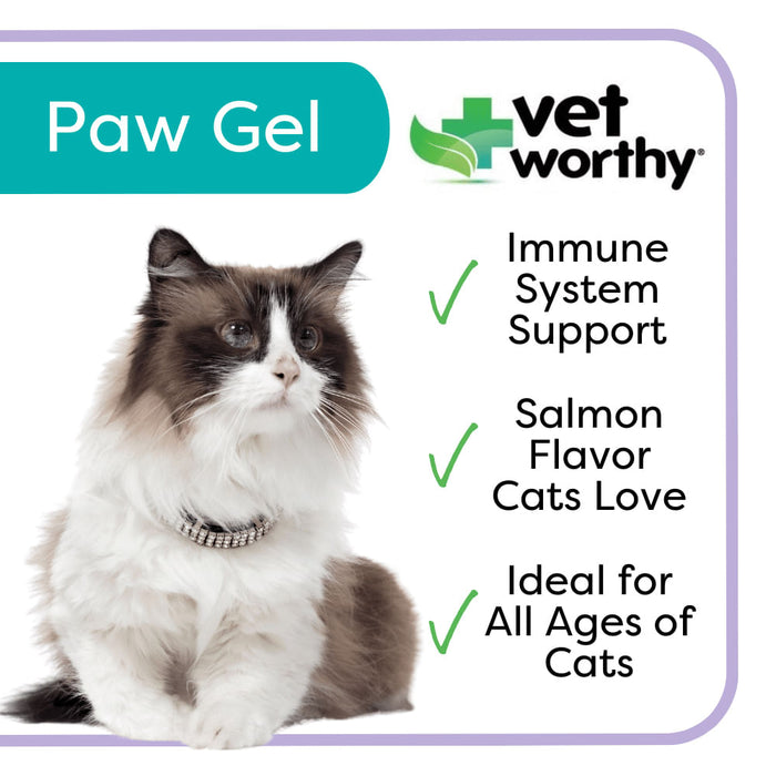 Vet Worthy L-Lysine Paw Gel for Cats, 500 mg/3 oz -   