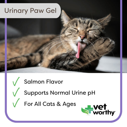 Vet Worthy Urinary Paw Gel for Cats, 3 oz -   