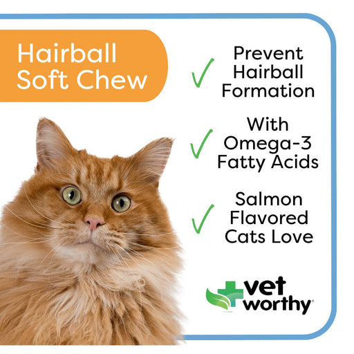 Vet Worthy Hairball Soft Chew Aid for Cats, 45 ct -   