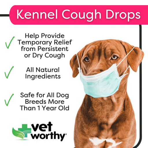 Vet Worthy Kennel Cough Drops -   