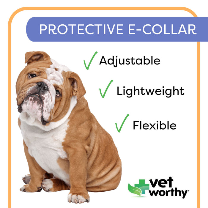 Vet Worthy Protective Cone Collar - Vet Worthy Protective Cone Collar, Small  