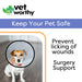 Vet Worthy Protective Cone Collar - Vet Worthy Protective Cone Collar, Small  