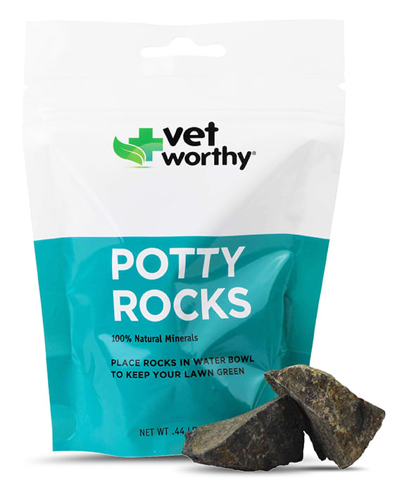 Vet Worthy Potty Rocks -   