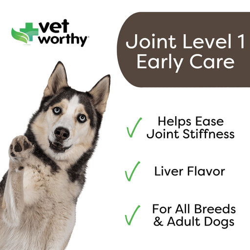 Vet Worthy Soft Chew Joint Support, 30 ct - Vet Worthy Level 1 Soft Chew Joint Support, 30 ct  