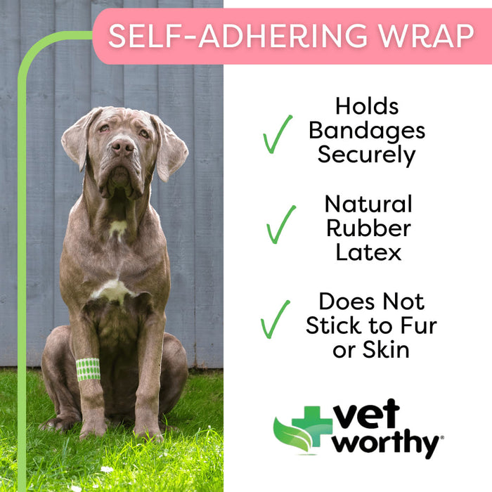 Vet Worthy Self-Adhering Wrap - Vet Worthy Self-Adhering Wrap, Paws  