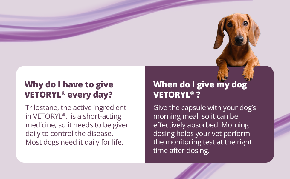 Cápsulas de Rx Vetoryl