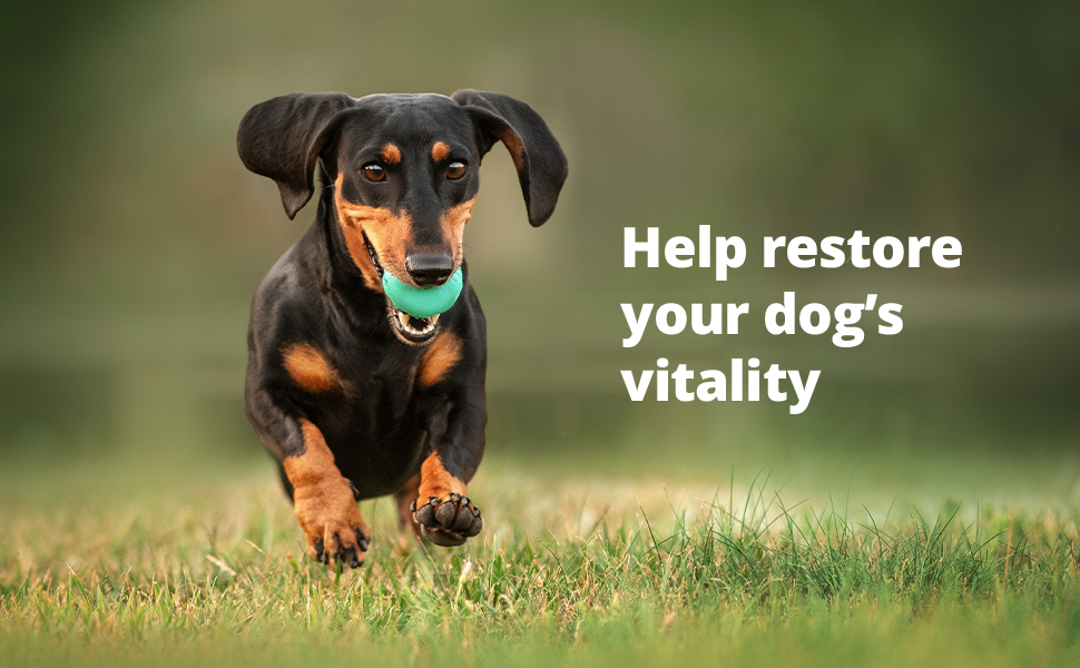 Cápsulas de Rx Vetoryl