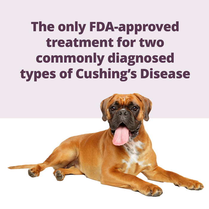 Cápsulas de Rx Vetoryl