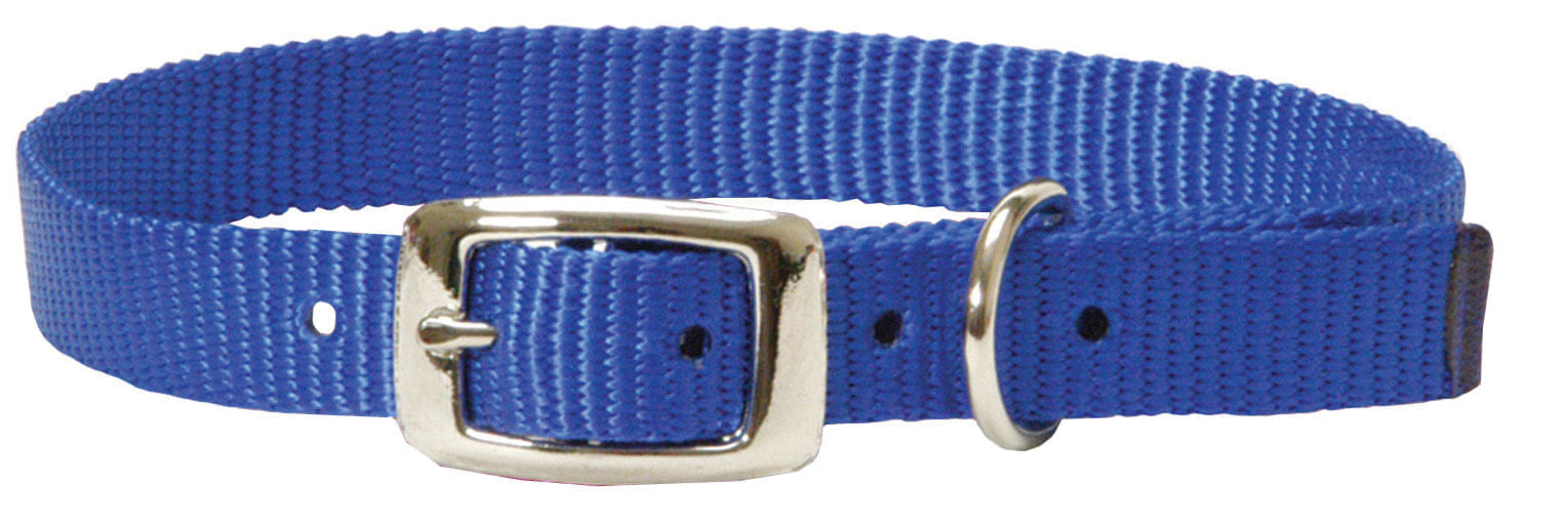 Goat Collars - Kid - Blue  