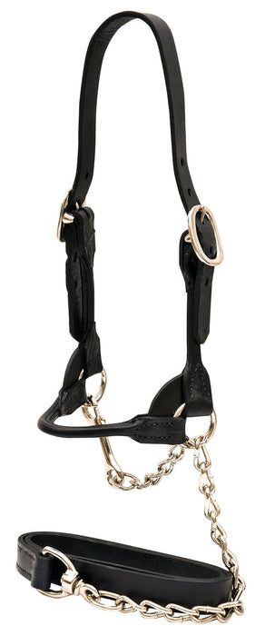 Classic Rounded Cattle Show Halter, Medium - Black  