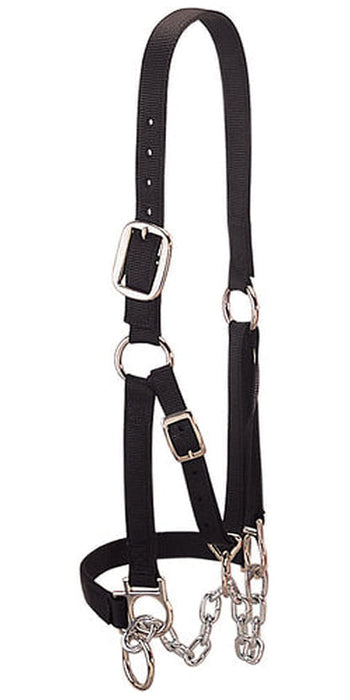 Weaver Heavy Duty Cow Restraint Halter, Black - Large  