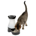 PetSafe Healthy Pet Water Station - Petsafe Healthy Pet Water Station, White/Blk, Lg, 2.5 gal  