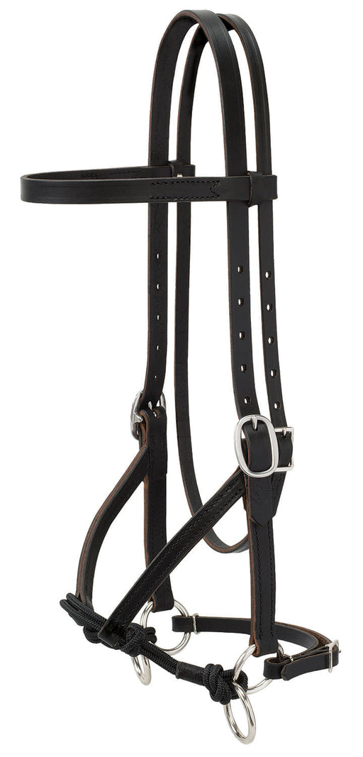 Justin Dunn Bitless Bridle - 