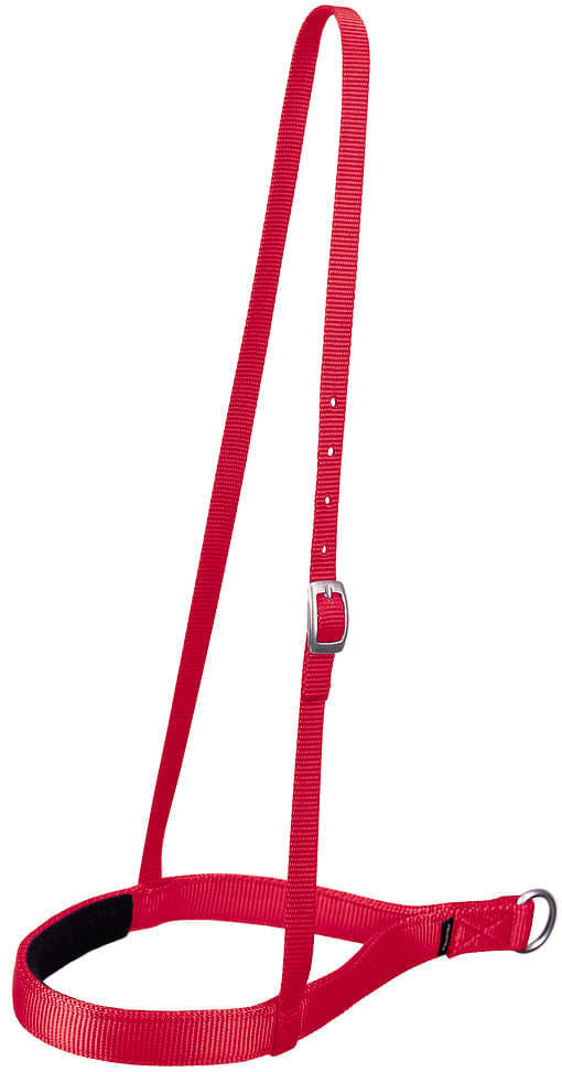 Weaver Nylon Noseband, Regular - Red  