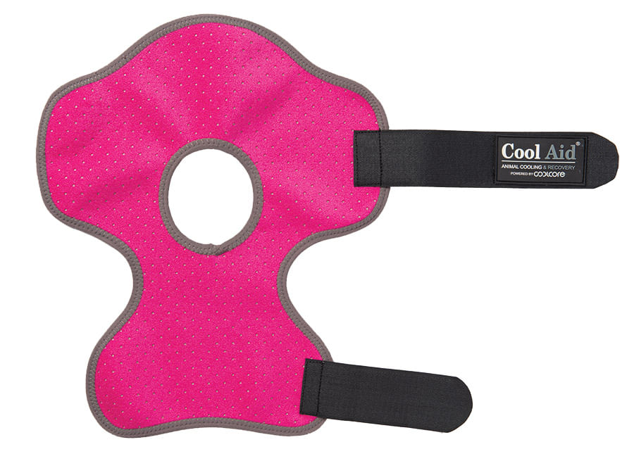 CoolCore Equine Icing and Cooling Hock Wraps - Pink Small 