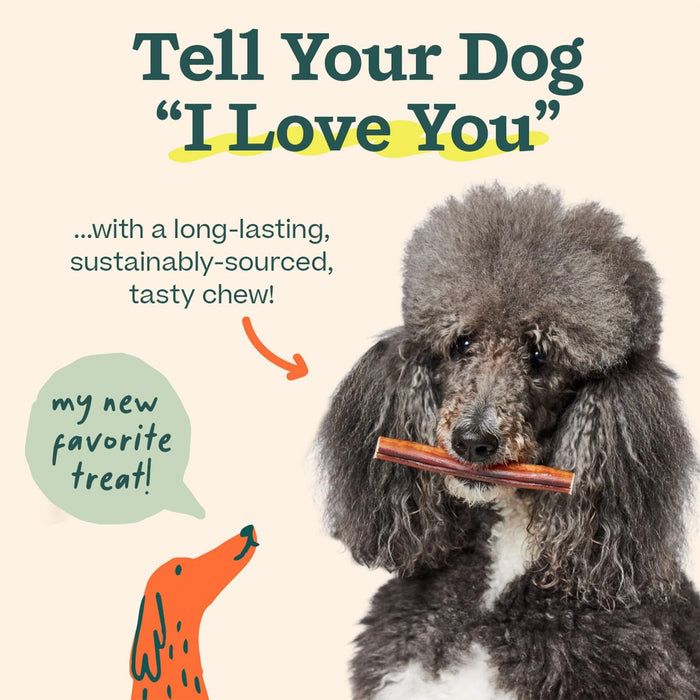 BullySafe Bully Sticks– Odor-Free, Long-Lasting Dog Chews | Grass-Fed, Free-Range, Single-Ingredient Beef Pizzle Treats