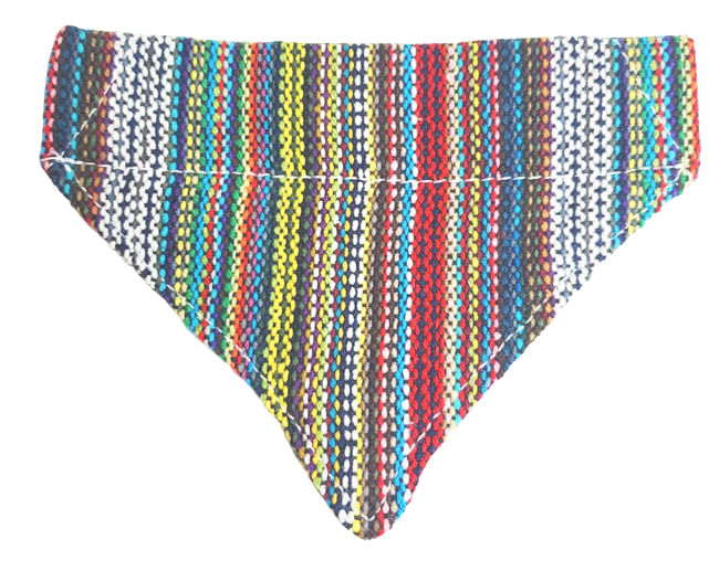 Walking Palm Dog Bandana - Bohemian  