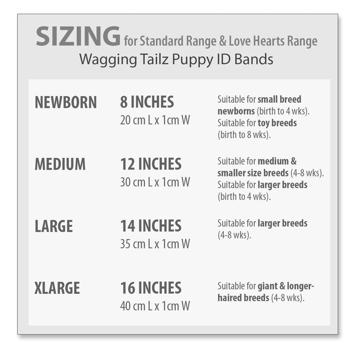 Wagging Tailz Love Hearts Puppy Id Bands, 12-pack - 8" Love Hearts Puppy Id Bands, 12-pack  