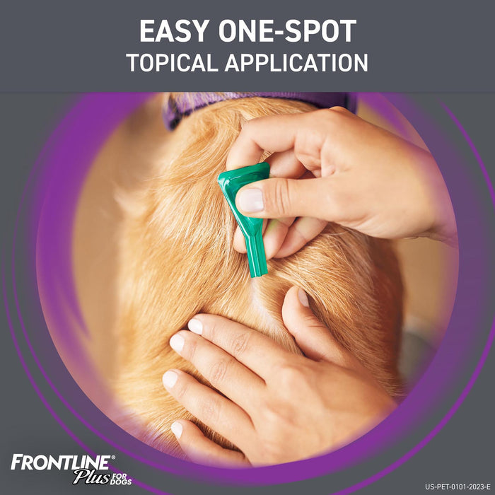 Frontline Plus for Dogs - 6-pk Frontline Plus Flea & Tick, (up to 22 lbs)  