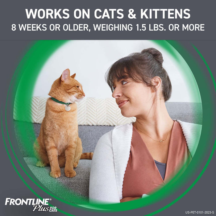 Frontline Plus for Cats - 6 pack Frontline Plus for Cats  