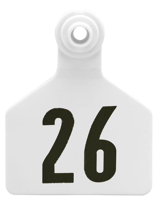 Z2 2-Piece Large Numbered Tags, White - 26-50  