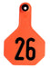 Y-Tex Numbered Cattle Ear Tag ID, Medium - Orange 26-50 