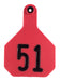 Y-Tex Numbered Cattle Ear Tags (Large), 25 count - Red 51-75 