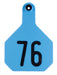 Y-Tex Numbered Cattle Ear Tags (Large), 25 count - Blue 101-125 