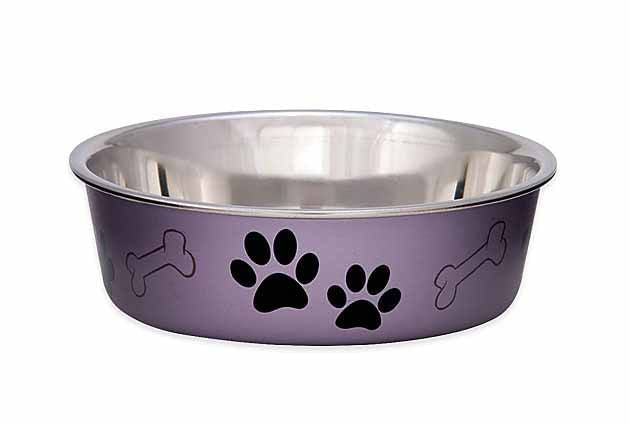 Loving Pets Bella Dog Bowls, Stainless Steel - Grape Small 