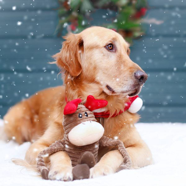 Zippy Paws Crinkle Christmas Dog Toy, Large - Penguin  