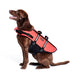 Zippy Paws Adventure Dog Life Jacket - Large  