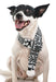 Zippy Paws Reindeer Scarf, Black/White - Small  