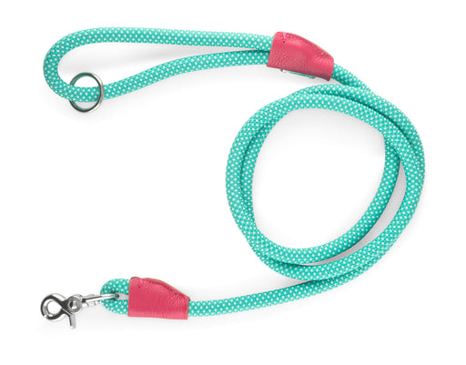 Mod Essentials Leash, 5 ft - Teal  