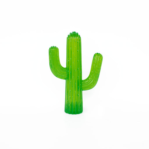 Zippy Tuff Cactus -   