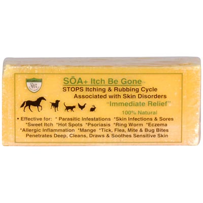 SOA+ Itch Be Gone Soap Bar, 11 oz -   