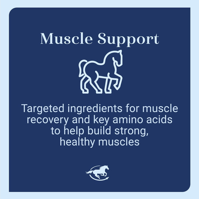 Acetyl L-Carnitine HCL Muscle Support for Horses, Powder Acetyl L-Carnitine HCL Muscle Support for Horses, Powder