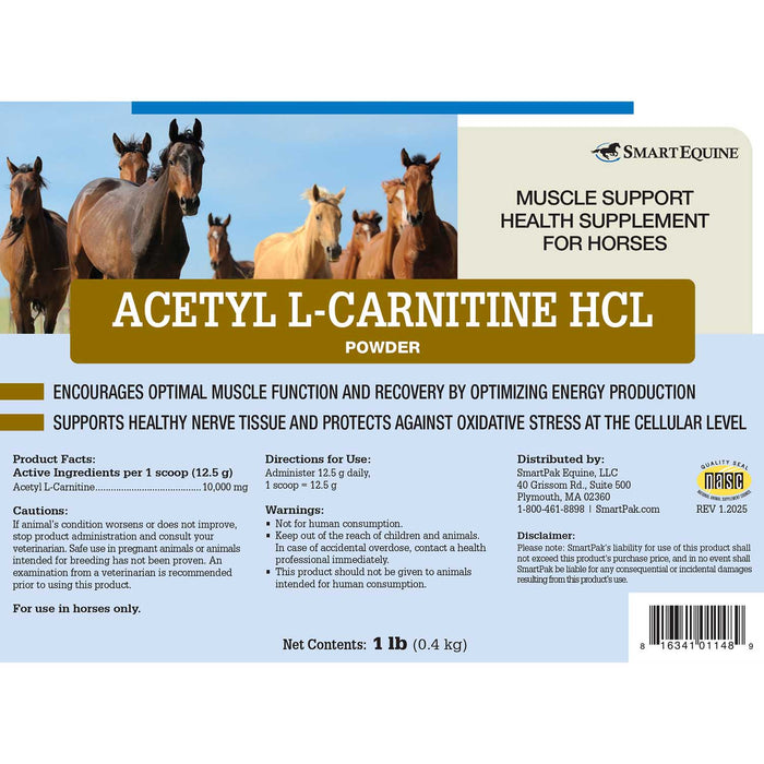 Acetyl L-Carnitine HCL Muscle Support for Horses, Powder Acetyl L-Carnitine HCL Muscle Support for Horses, Powder