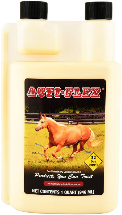 Acti - Flex Liquid Joint Supplement - Jeffers - Animal Health & Wellness > Joint Health