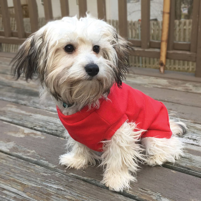 Activewear Sweatshirt - Jeffers - Dog Supplies > Dog Apparel