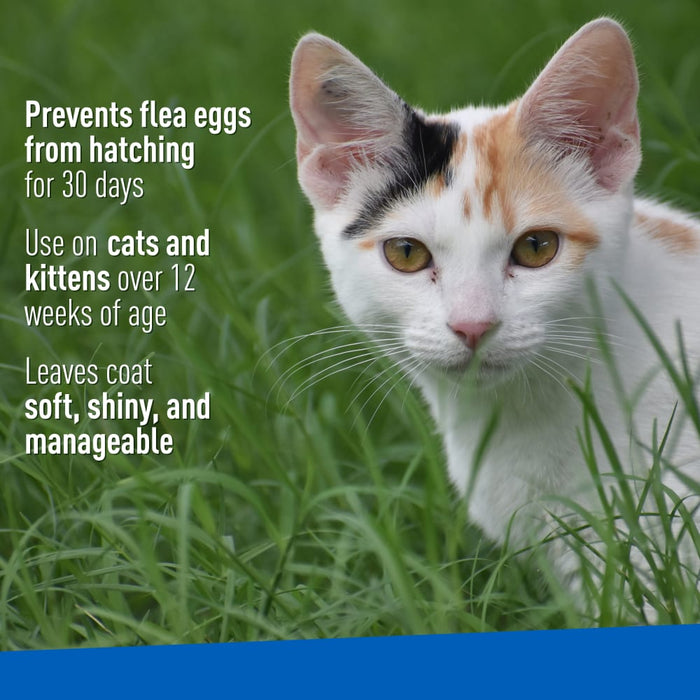 ADAMS Flea & Tick Cleansing Shampoo For Cats, 12 oz - FAAA8 - 12 oz - 1 - 4