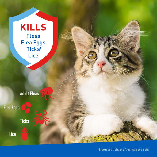 ADAMS Flea & Tick Cleansing Shampoo For Cats, 12 oz - FAAA8 - 12 oz - 1 - 2