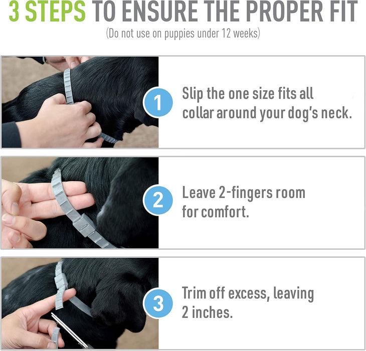 ADAMS Flea & Tick Collar for Dogs & Puppies, 2 Pack, 12 Months Protection, Adjustable One Size Collar Fits All Dogs 12 Weeks & Older - FAAAL - Ons Size Fits All - 2 - 8