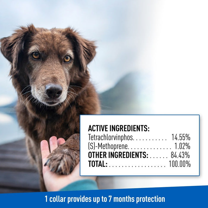 ADAMS Flea & Tick Control Collar for Dogs, 7 - Month Protection, Adjustable One Size Collar Fits All - FAAAH - One Size Fits All - 1 ct - 7