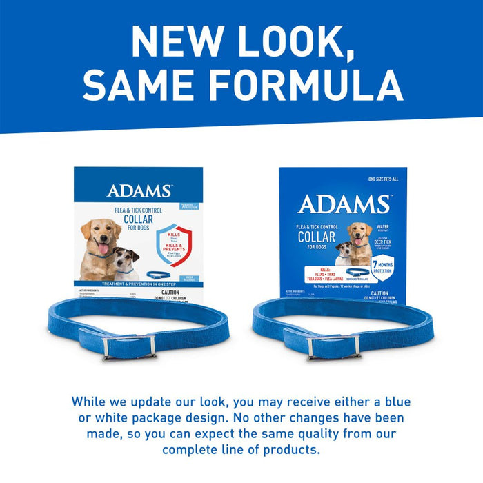 ADAMS Flea & Tick Control Collar for Dogs, 7 - Month Protection, Adjustable One Size Collar Fits All - FAAAH - One Size Fits All - 1 ct - 8