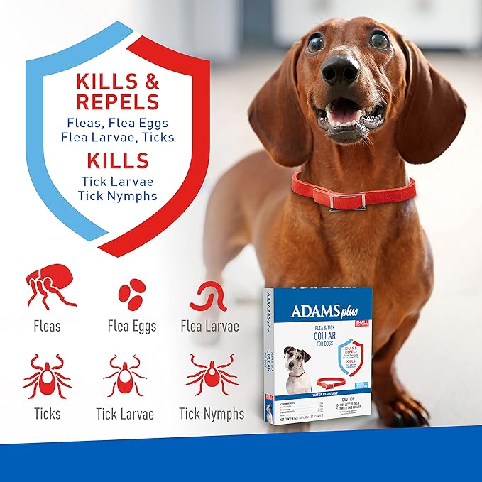 Adams Plus Dog Flea & Tick Collar - Jeffers - Animal Health & Wellness > Flea & Tick Control